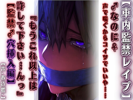 【車内監禁レイプ】【男性受け】『もうこれ以上は許して下さい…んっ♡』♂なのに♀声で喘ぐからコイツでいいや……【監禁♂穴挿入編】春待雹リアルすぎて辛いバイノーラル