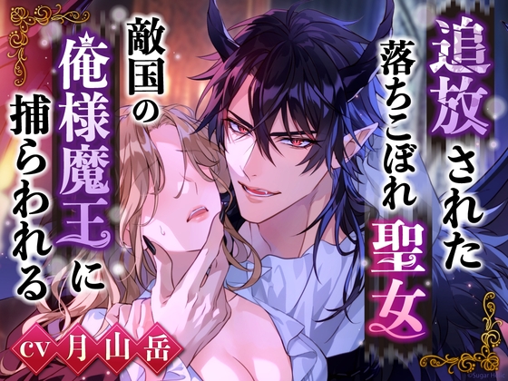 ※豪華購入特典付き※【無理矢理魔力増幅セックス】追放された落ちこぼれ聖女、敵国の俺様魔王に捕らわれる