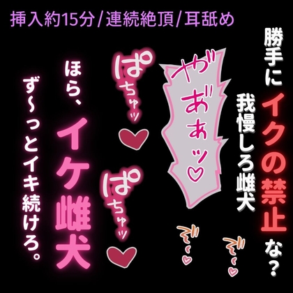 【挿入約15分/連続絶頂/耳舐め】発情期の雌犬まんこに寸止め調教♡