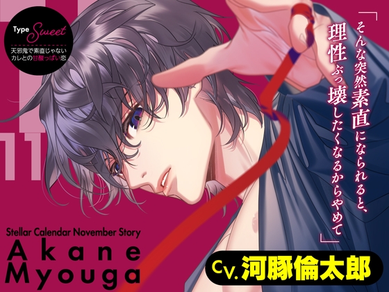 【CV.河豚倫太郎】Stellar Calendar(ステカレ)～November Story～