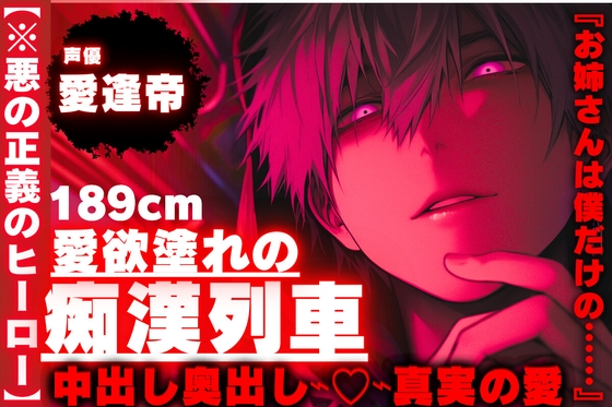 |꩓|28日間50%OFF|꩓|⚠︎背後から痴漢【※悪の正義のヒーロー】189cm愛欲塗れの痴漢列車『お姉さんは僕だけの……』【中出し奥出し⌁♡⌁真実の愛】