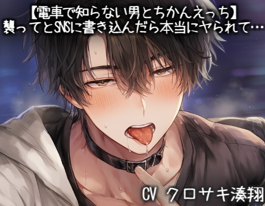 【電車で知らない男とちかんえっち】襲ってとSNSに書き込んだら本当にヤられて…